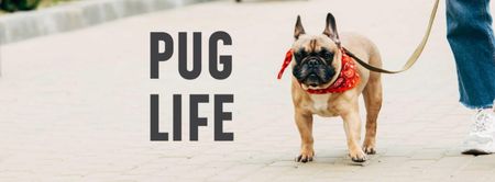 French Bulldog on street Facebook cover Design Template