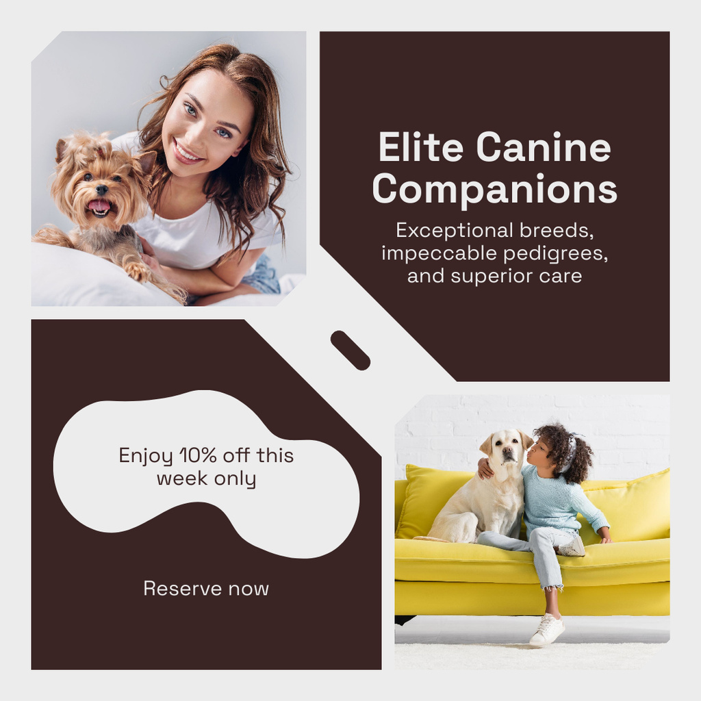 Discount on Exclusive Dog Breeds Instagram AD – шаблон для дизайну