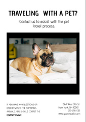 Best Pet Travel Guidelines with Cute French Bulldog