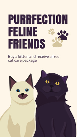 Adorable Feline Companions With Free Care Package Instagram Story Design Template