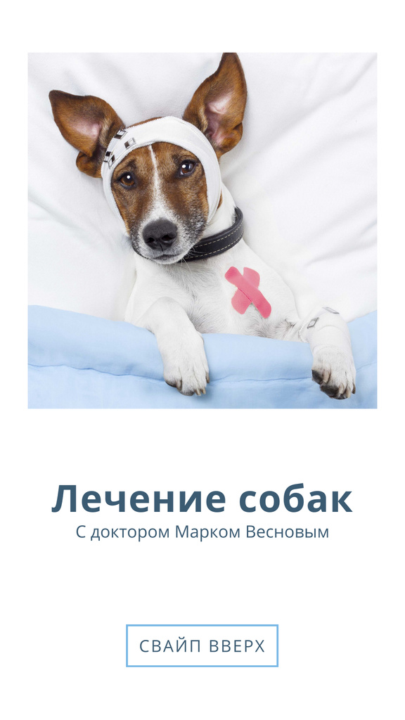 Designvorlage Dog Injury Treatment Offer für Instagram Story