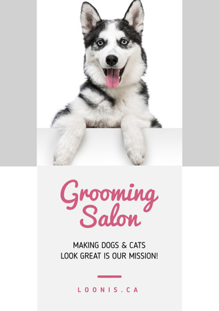 Grooming Salon Ad Cute Corgi Puppies Flyer A5 Design Template