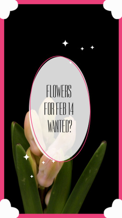 Blossoming Flowers For Saint Valentine`s Day TikTok Video Design Template