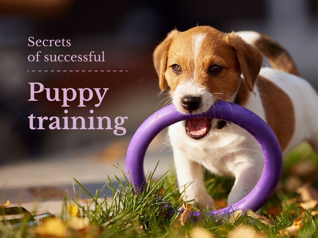 Plantilla de diseño de Tips for Successful Puppy Training with Toy Presentation 