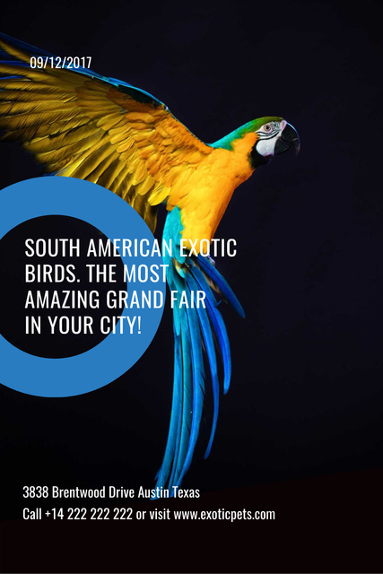 Exotic Birds Shop Ad with Flying Parrot Pinterest Design Template