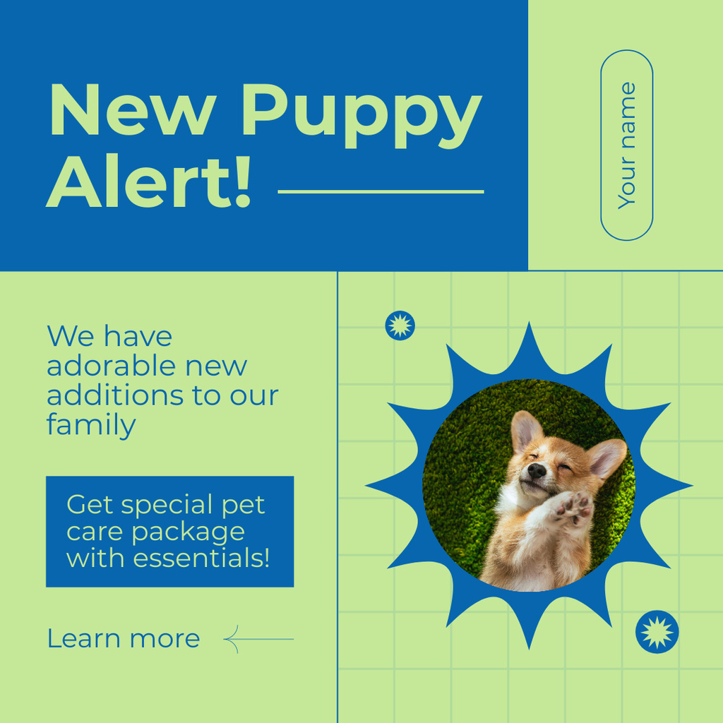 Pedigree Puppies from Professional Breeders Instagram AD Πρότυπο σχεδίασης