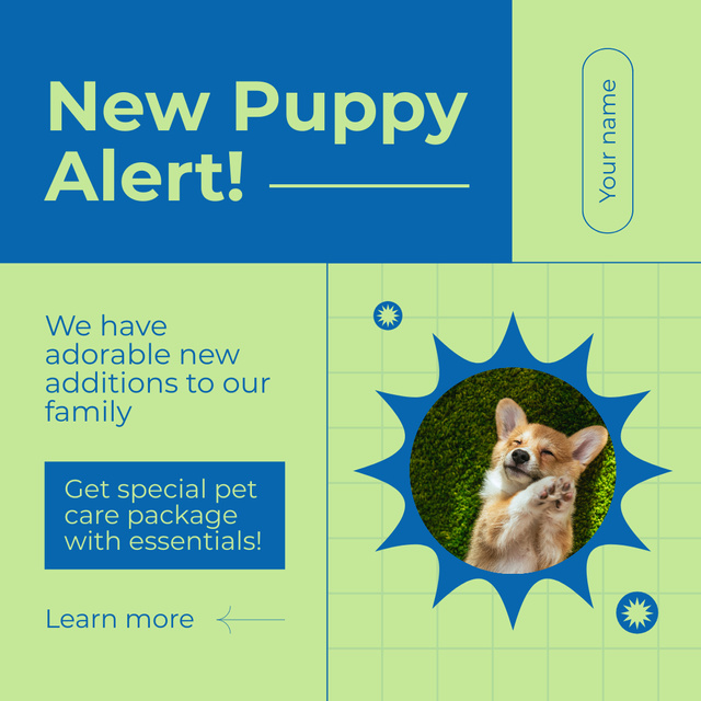 Pedigree Puppies from Professional Breeders Instagram AD Modelo de Design