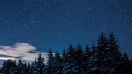 Snowy Forest at starry Winter night Zoom Background tervezősablon