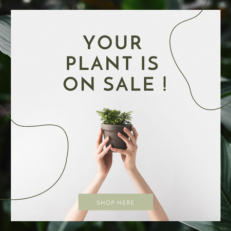 Ontwerpsjabloon van Instagram AD van Houseplants Sale Offer
