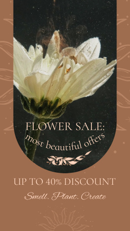 Discount For Flower With Paint Drop Instagram Video Story tervezősablon