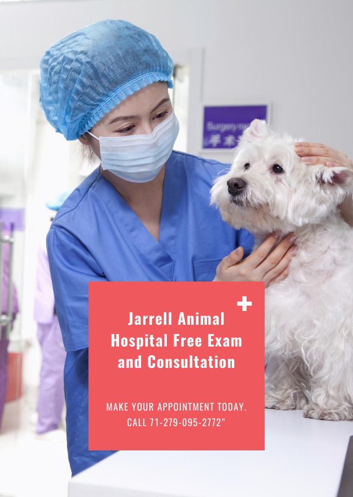 Platilla de diseño Vet Clinic Ad with Doctor Holding Dog Postcard A6 Vertical