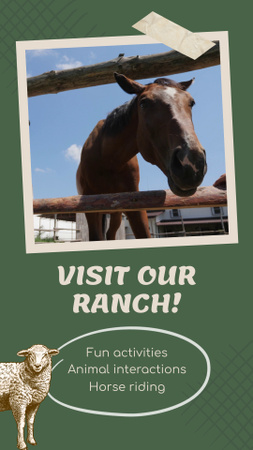 Рекламная акция посещения прекрасного ранчо с взаимодействием с животными Instagram Video Story – шаблон для дизайна
