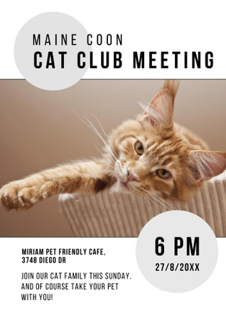 Cat club meeting Poster B2 Design Template
