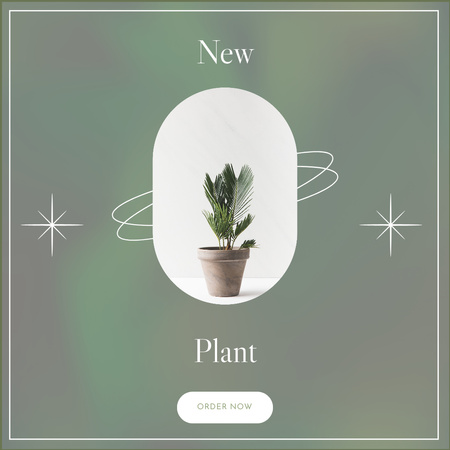 New Pot Plant Promo on Green Instagram Design Template