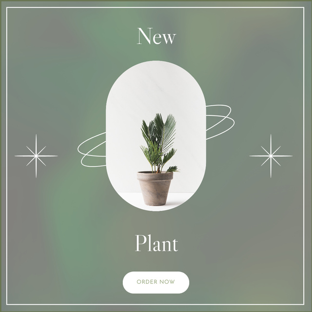 Plantilla de diseño de New Pot Plant Promo on Green Instagram 