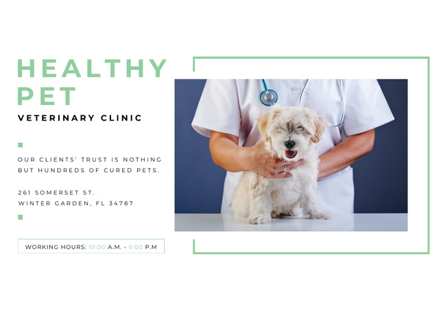 Veterinary Clinic Services with Cute Dog Postcardデザインテンプレート
