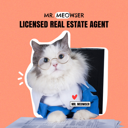 Real Estate Services Offer with Funny Cat Instagram Tasarım Şablonu
