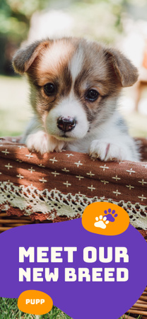 Sweetest Corgi Puppy in Basket Snapchat Geofilter Design Template
