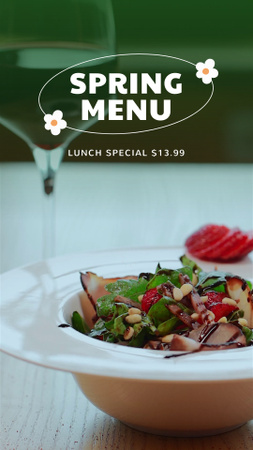 Delicious Dish For Lunch In Spring TikTok Video Design Template