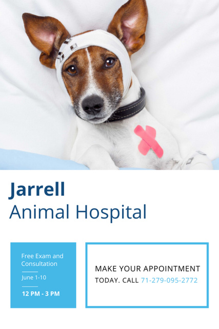 Animal Hospital Ad with Cute injured Dog Invitation 6x9in Design Template