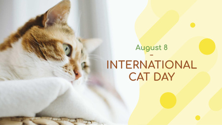 Cat Day greeting FB event cover Design Template