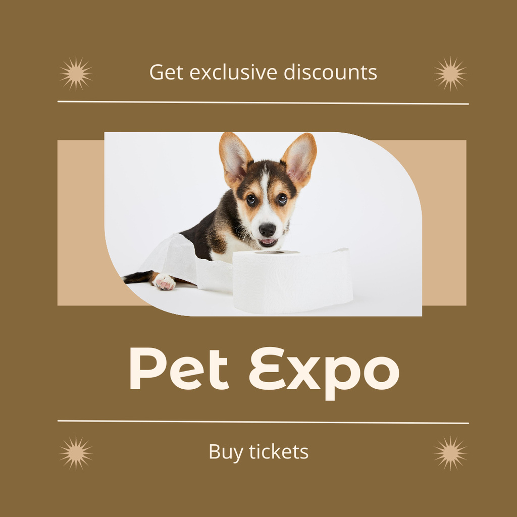 Platilla de diseño Exclusive Discounts on Pet Show Instagram