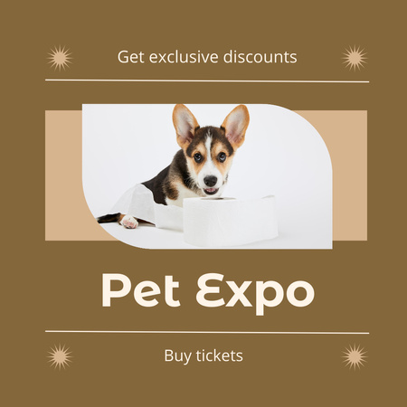 Exclusive Discounts on Pet Show Instagram Design Template