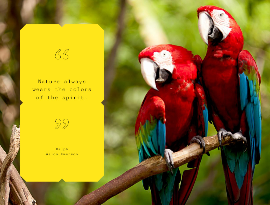 Ara Parrots On Branch In Jungle And Quote About Spirit And Colors Postcard 4.2x5.5in Šablona návrhu