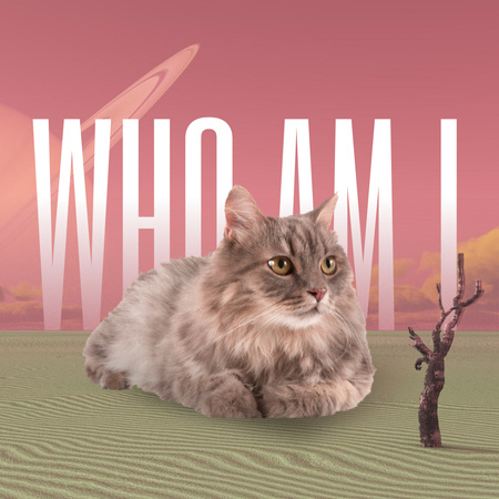 Funny Meme with Huge Cat Instagram Design Template