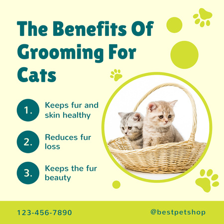 Cat Grooming Benefits Review with Cute Kittens Instagram Design Template