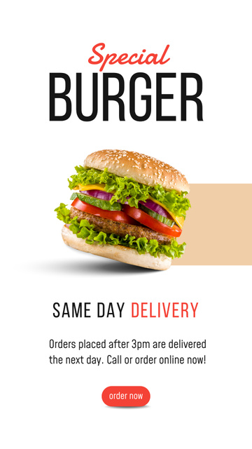 Special Burger Offer with Same Day Delivery Instagram Story Design Template