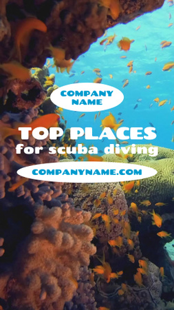 Scuba Diving Ad with Beautiful Reef TikTok Video Design Template
