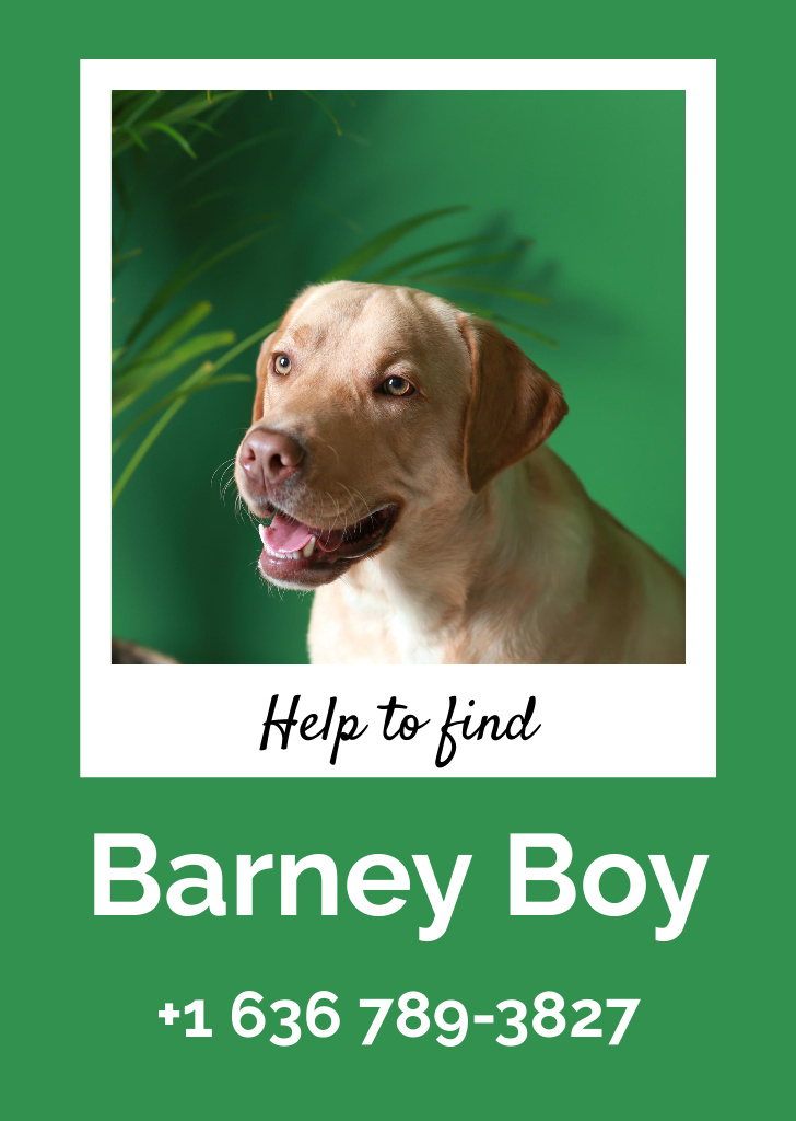Lost Dog Information with Cute Labrador on Green Flyer A6 Šablona návrhu
