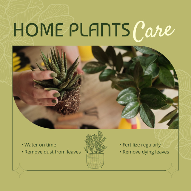 Ontwerpsjabloon van Animated Post van Houseplants Care Tips With Succulent