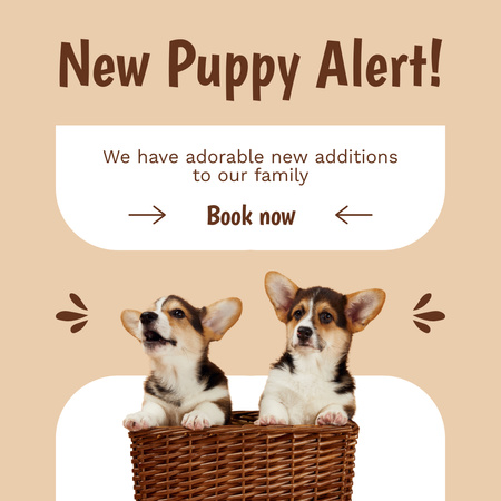 New Puppies Alert on Beige Instagram Design Template