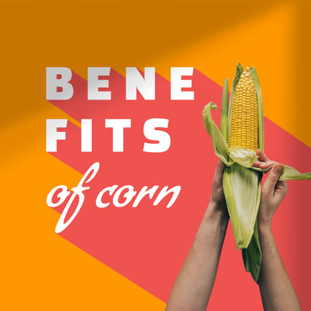 Fresh Corn in Hands Instagram – шаблон для дизайна
