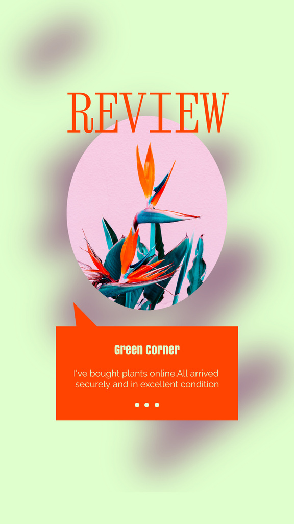 Template di design Customer's Review of Online Plants Store Instagram Story