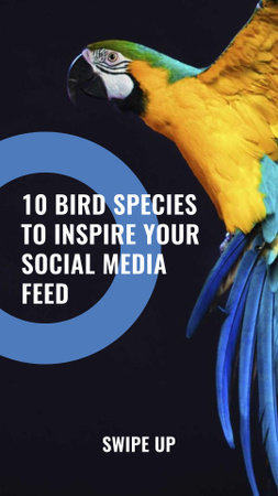 Modèle de visuel brillant perroquet agitant les ailes - Instagram Story