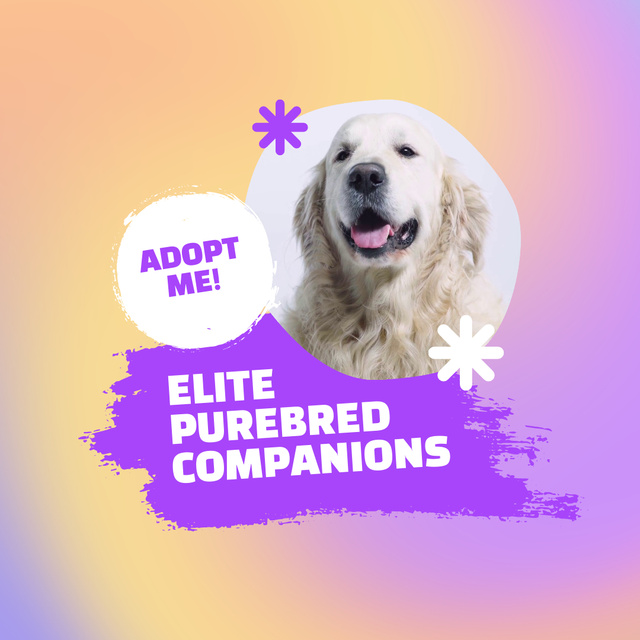 Platilla de diseño Announcement about Adoption of Elite Breed Dogs on Gradient Animated Post