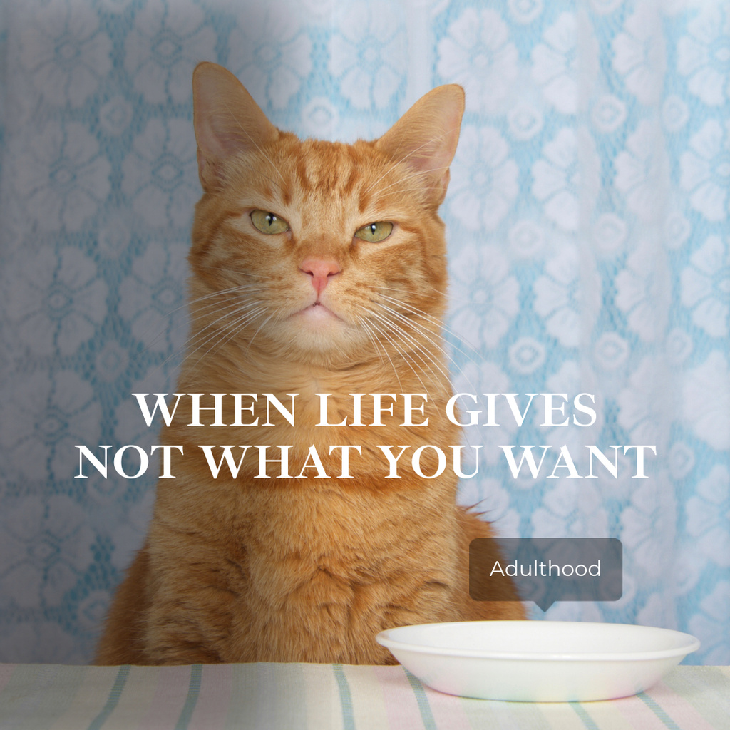 Joke about Adulthood with Funny Cat Instagram Design Template
