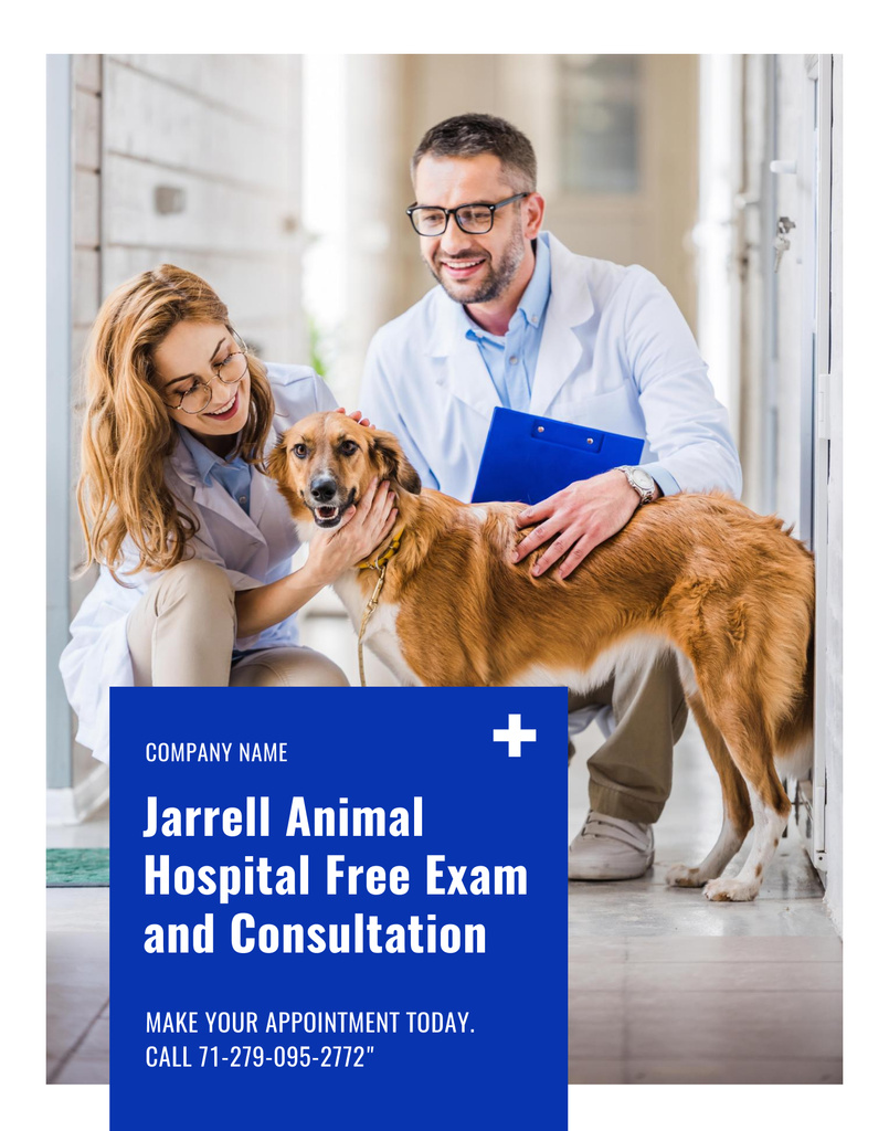 Modèle de visuel Dog is Visiting Qualified Vet Doctor in Pet Hospital - Poster 22x28in