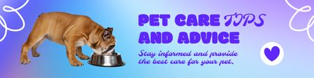 Pet Care Advice Twitter Design Template