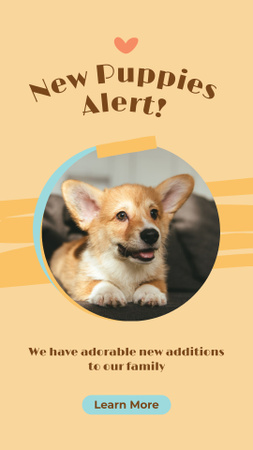 New Puppies Alert on Beige Instagram Story Design Template
