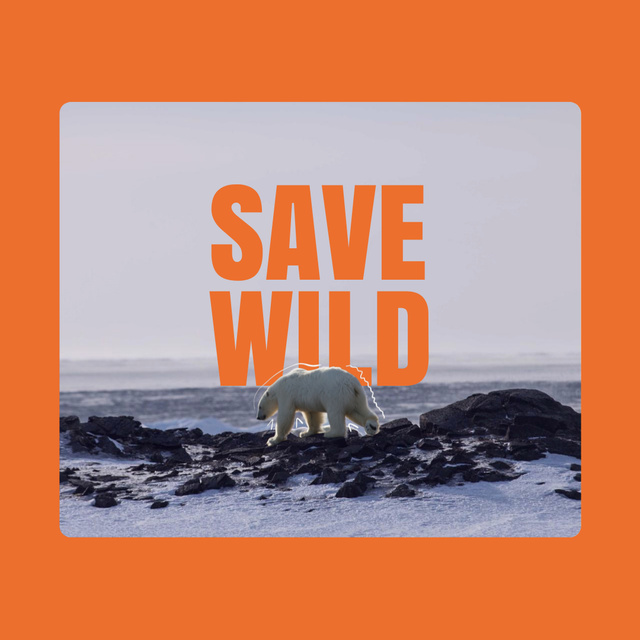 Climate Change Awareness with Polar Bear Animated Post Design Template