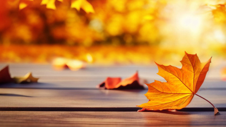 Plantilla de diseño de Lindas hojas de otoño de arce en el suelo Zoom Background 