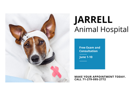 Dog in Animal Hospital Poster 18x24in Horizontal Design Template