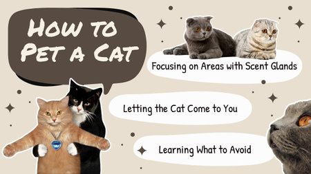 Designvorlage Tipps zum Streicheln einer Katze für Mind Map