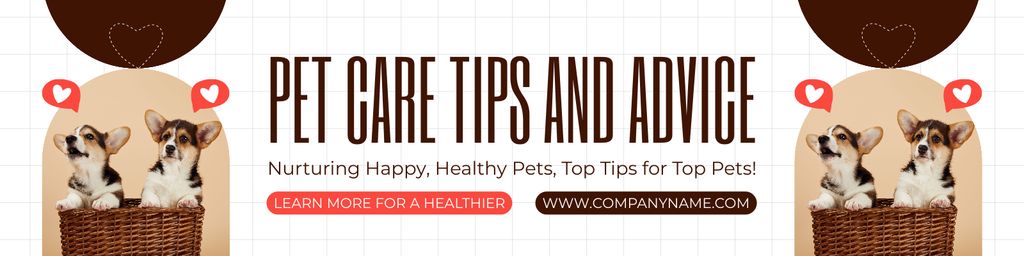 Tips and Advice for Caring for Welsh Corgi Puppies Twitter – шаблон для дизайна