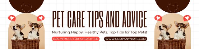 Tips and Advice for Caring for Welsh Corgi Puppies Twitter Design Template