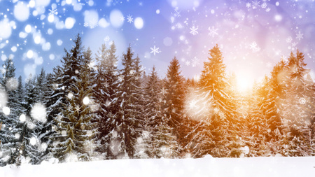 Designvorlage Frostiger Tag im verschneiten Wald für Zoom Background